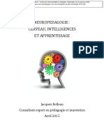 Cerveau Intelligences Et Persofmance