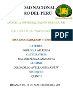 Procesos Exógenos y Endógenos-Delgadillo Avellaneda Jose