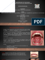 Semiología de Boca y Faringe