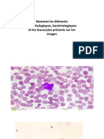 Cytologie Des Cellules Sanguines - TEST