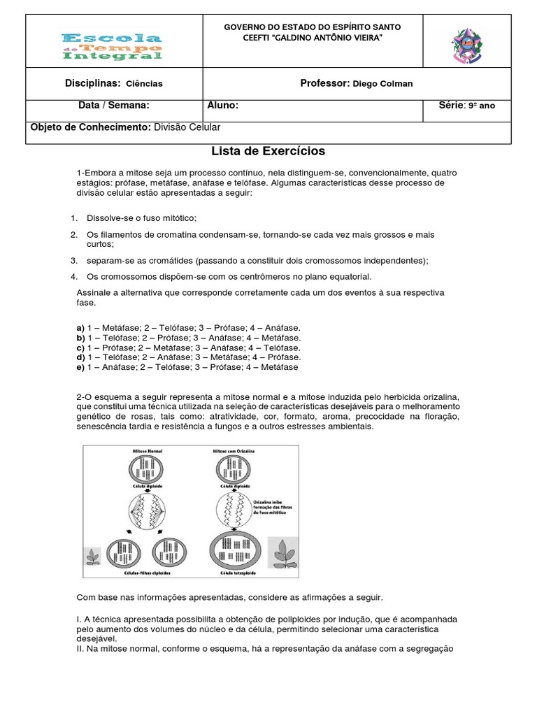 Lista de Exercicios Divisao Celular (1) - 9º ANO | PDF | Mitose | Meiose