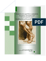Anatomia de Superfície e Palpatória Da Perna, Tornozelo e Pé