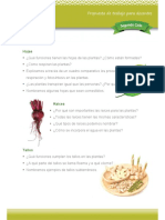 Ficha 2-Partes de Plantas