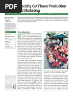 Download Cut Flower by Jose Mangual SN51949446 doc pdf