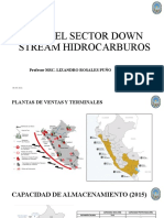 S3.1. El Sector Down Stream