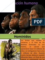 La Evolucion Humana