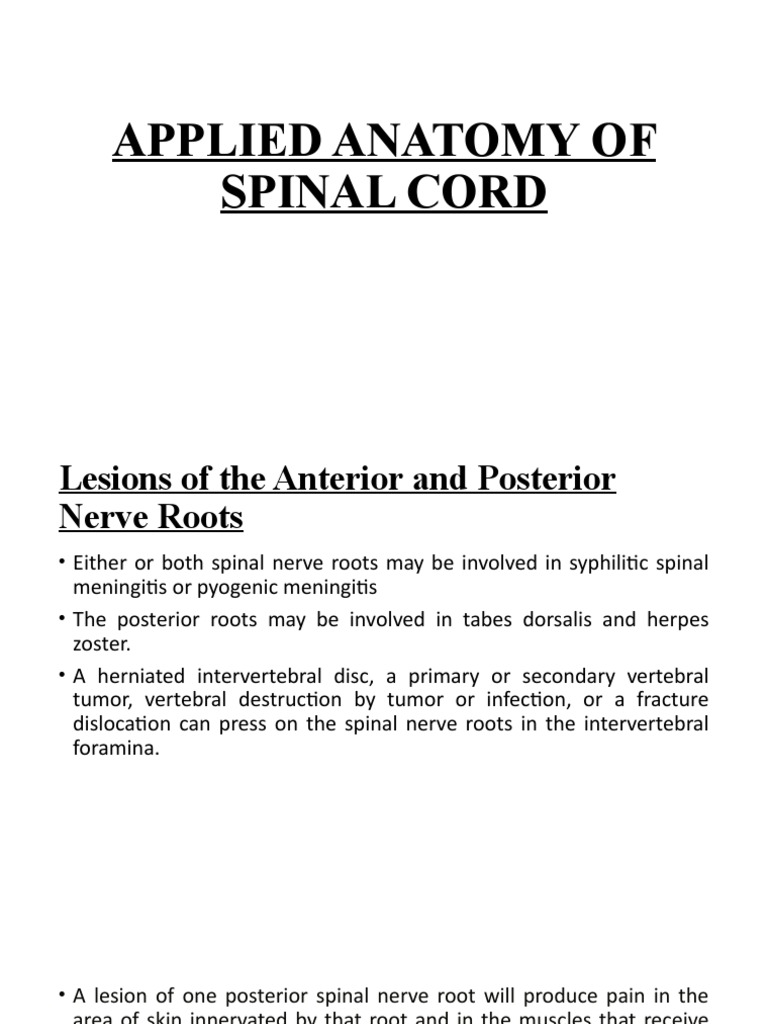 Applied Anatomy of Spinal Cord Lesions | PDF | Spinal Cord ...