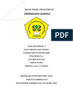 Log Book Hasil Praktikum Pemeriksaan Leopold