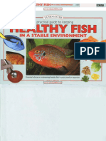 A Practical Guide To Keeping Healthy Fish in A Stable Environment (Scan.) by L. Jepson