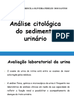 Análise Citológica Do Sedimento Urinário