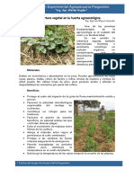 Script-Tmp-Inta Pergamino La Cobertura Vegetal en La Huerta Agro