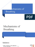 8.2 Mechanisms of Breathing