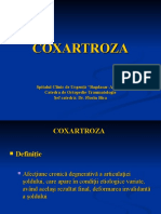 CURS 09 - Artroza