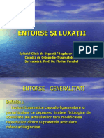 CURS 02 - Entorse Și Luxații