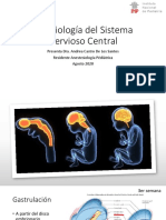 Embriología Aplicada A Neuroanestesiología