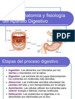 Anatomía y Fisiología del Sist. Digestivo