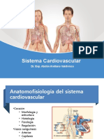 Anatamía y Fisiología Cardiovascular