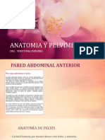Anatomia y Pelvimetria22