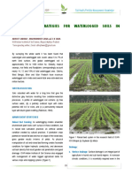 Management Strategies For Waterlogged Soils in Agriculture
