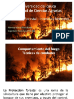 Incendios Forestales 2019