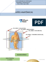 Regiões Anatômicas