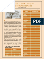 Diversidad de Plantas Forrajeras en Las Comunidades Maya