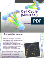 (13) Siklus Sel