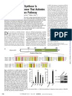 Sun Et Al. - 2013 - Science (New York, N.Y.)