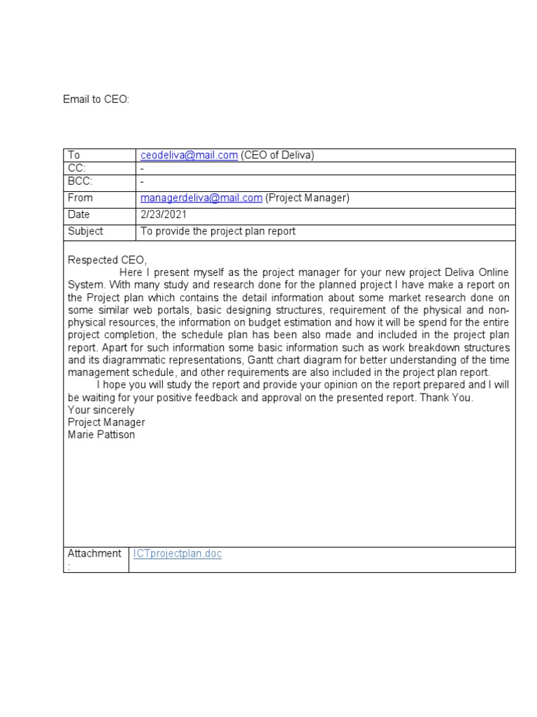 Assessment 2. Email To CEO (Project Plan) | PDF