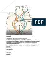 Tipos de pérdida visual y sus causas