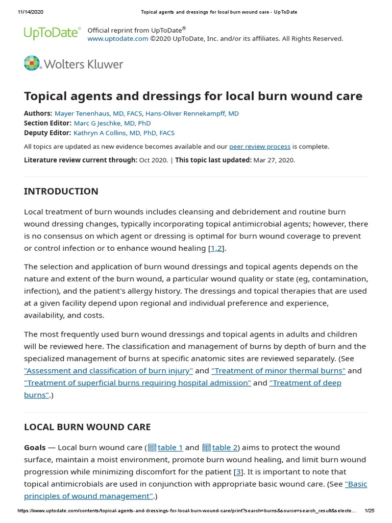 Topical Agents and Dressings For Local Burn Wound Care PDF Wound Burn