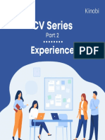 CV Series - Experience