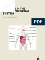 Changes in The Gastrointestinal System: Abdul Shukkor & Abubakar