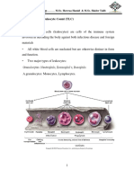 Lab. (6) : Total Leukocyte Count (TLC) : Practical Physiology M.Sc. Hawraa Hamid & M.Sc. Haider Talib