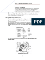 Chapter: 3. Human Reproduction: The Male Reproductive System