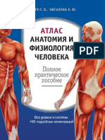 Атлас Анатомия и физиология человека