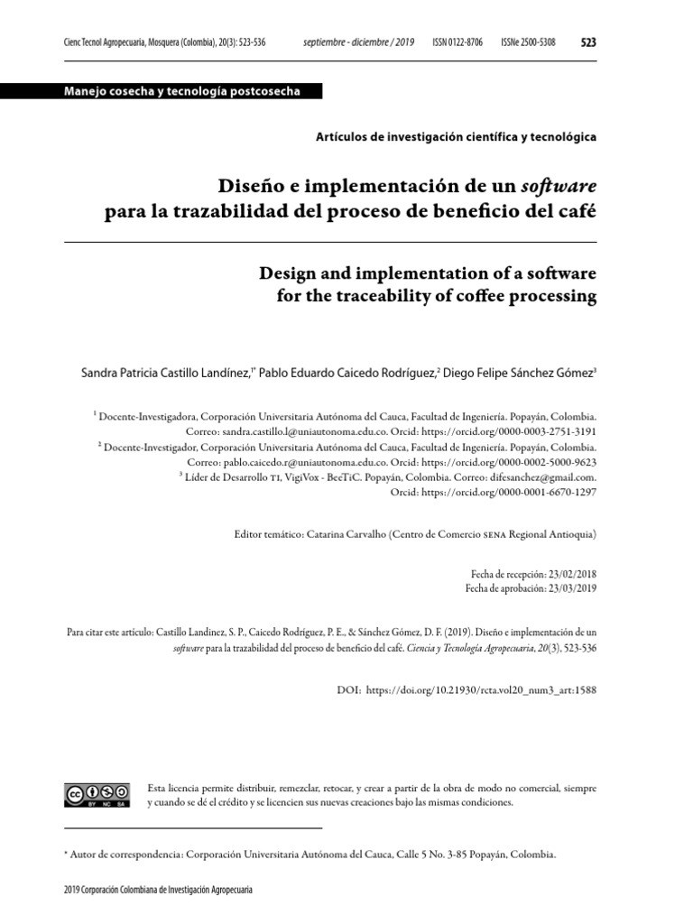 Diseño e Implementación de Un Software | PDF | café | Software