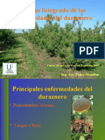 Enfermedades DZ 2003 Primera