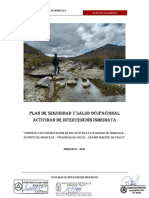 Plan de Seguridad y Salud Ocupacional Actividad de Intervención Inmediata