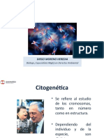 Citogenética y Mutaciones Cromosómicas