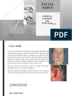 Facial Nerve: Clinical Anatomy AND Function