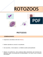 PRESENTACIÓN 3 Protozoarios