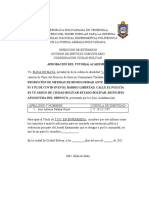 Formatos Que Debe Llevar El Informe de SC