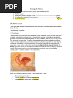 Patologia Da Próstata