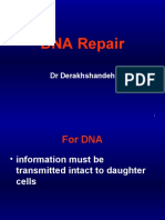 DNA Repair: DR Derakhshandeh