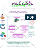 What Does It Do?: What Happens When The Temporal Lobe Is Damaged?