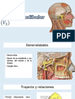 Nervio Mandibular 〖 (v〗 - 3)