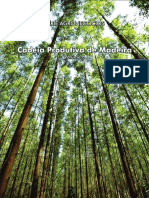 Cadeia Produtiva de Florestas Plantadas e Madeira
