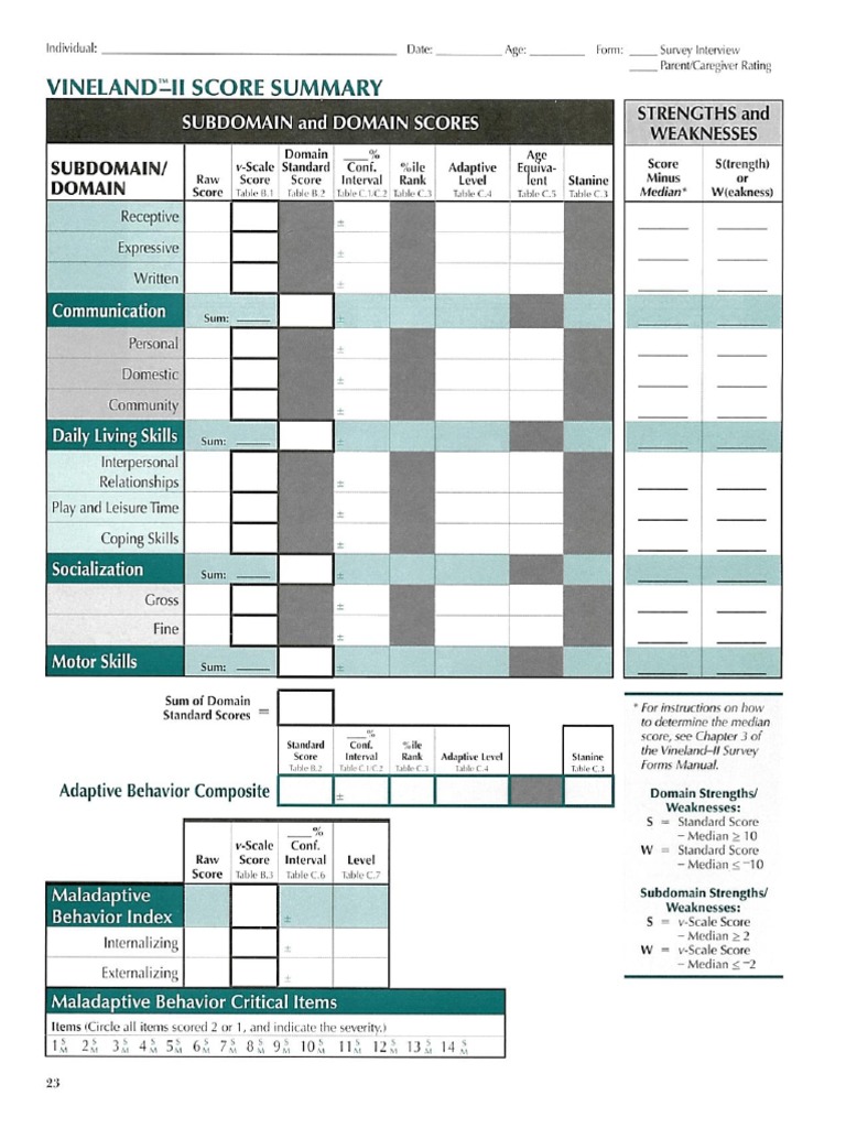vineland-score-summary-pdf