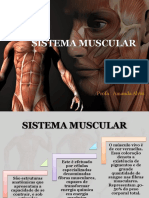 AULA 03 - SISTEMA MUSCULAR